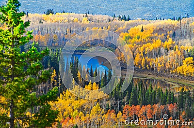 Grand Mesa Late September Stock Photo